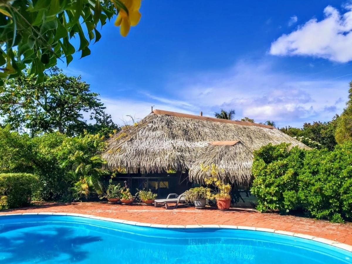 Huahine - Bungalow Tiare Фар Экстерьер фото